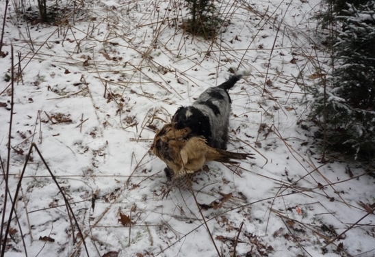 hon konopiste040.jpg